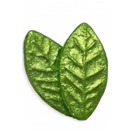 Пу-Ер Шен "Зелений лист" зелений (6-10г) 50 грам