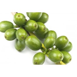 Зеленый кофе